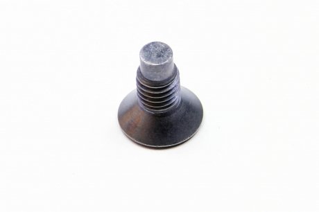 7703004176 Болт з головкою системи TORX з чорного металу RENAULT підбір по vin на Brocar
