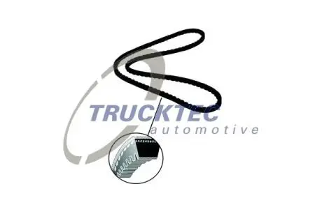 0119184 Ремінь генератора Ford Transit 2.5D 97-00 TRUCKTEC підбір по vin на Brocar