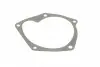 5080100 Помпа води Renault Kangoo/Megane/Scenic/Clio/Nissan Almera/Kubistar/Micra 1.5dCi 01- AUTOTECHTEILE підбір по vin на Brocar