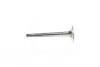 HCZC008E Клапан-EXH/STD/V96/DOHC PRINCE (вир-во PMC-ESSENCE) PARTS-MALL підбір по vin на Brocar