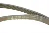 529051010 Комплект ременя генератора BMW 3 (E90)/X1 (E84) 04-15 M47/N47 (6PK1780) INA підбір по vin на Brocar