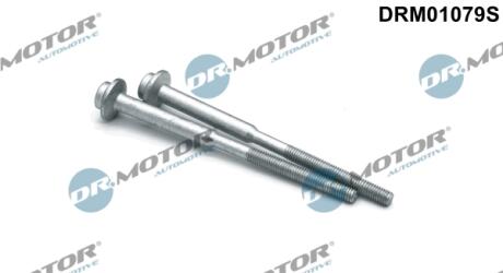 DRM01079S К-т болтов крепления форсунки DR.MOTOR подбор по vin на Brocar