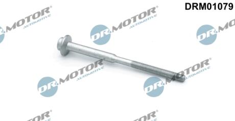 DRM01079 Болт крепления форсунки DR.MOTOR подбор по vin на Brocar