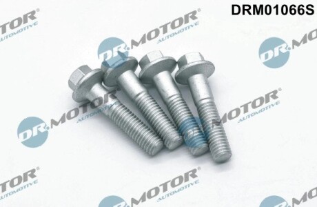 DRM01066S К-т болтов крепления форсунки DR.MOTOR подбор по vin на Brocar