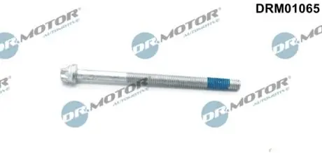 DRM01065 Болт крепления форсунки DR.MOTOR подбор по vin на Brocar
