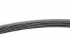 FB6PK2433 Ремень генератора MB E-class (W210) 4.2/5.0/Audi A8 3.0D 10-18 (6PK2433) INA підбір по vin на Brocar