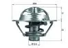 TX11882D Термостат MAHLE / KNECHT підбір по vin на Brocar