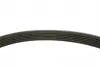 529015710 Комплект ремня генератора Citroen Jumpy/Peugeot Expert 1.9D 98-06 (6PK1390) INA підбір по vin на Brocar