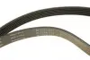 529015710 Комплект ремня генератора Citroen Jumpy/Peugeot Expert 1.9D 98-06 (6PK1390) INA підбір по vin на Brocar