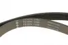 529015710 Комплект ремня генератора Citroen Jumpy/Peugeot Expert 1.9D 98-06 (6PK1390) INA підбір по vin на Brocar