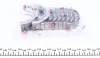 180035000215 Вкладиші корінні Opel Omega B/Vectra A/Astra G 2.0 (+0.25) (к-кт) = 6035012500 NPR підбір по vin на Brocar