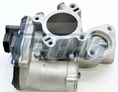 EGR12200 Клапан рециркуляції газів FRECCIA підбір по vin на Brocar