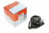 Подушка амортизатора (заднего) BMW 3 (E36)/5 (E39) Touring 95-04 M44/M62 80001608