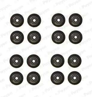 HR5125 Комплект сальників клапанів PAYEN підбір по vin на Brocar