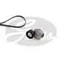 ZESTAW PASKA PK FORD /EUROPE/ C-MAX 2.0D 15- K056PK1270
