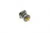TX25287 Термостат MAHLE / KNECHT підбір по vin на Brocar