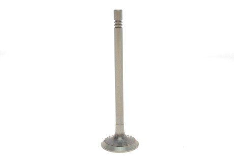 PAUD073A0N Клапан (выпуск) Skoda Fabia/VW Caddy/Polo/Seat Arosa/Ibiza 1.2-1.4 (28x6x99.2) (азотирование) PARADOWSCY AMP підбір по vin на Brocar