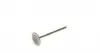PAUD074S0N Клапан (впуск) VW Caddy III 1.2 TSI 10-15 (35.5x6x98.7) PARADOWSCY AMP підбір по vin на Brocar