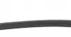 FB5PK955 Ремень генератора Fiat Palio 96-01/ Honda Accord IV/V 90-98/ Mitsubishi Lancer VI 95-08 INA підбір по vin на Brocar