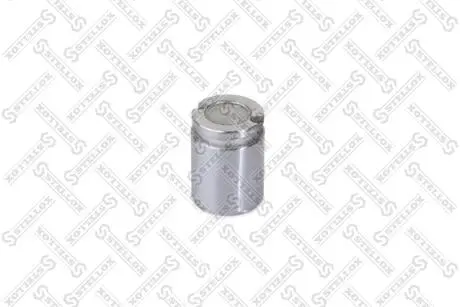 0498305SX Поршень гальмівн. супорта задн. (TRW Ø38х51) VW Passat, Vento, Golf II-III /Alfa /Audi /Citroen /Ford /Peugeot /Renault STELLOX підбір по vin на Brocar