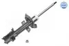 Амортизатор FORD P. FIESTA VI 1,01,251,61,5TDCI1,6TDCI 12- PR 726 623 0053