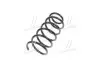 RD34110129 Пружина підв. CHEVROLET LACETTI передн. 05- (1,8L,МКПП) (RIDER) RIDER підбір по vin на Brocar