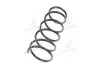 RD34110121 Пружина підв. RENAULT KANGOO 97- передн. (RIDER) RIDER підбір по vin на Brocar