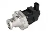 Клапан EGR EG10478-12B1