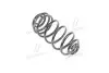 RD28110126 Пружина підв. RENAULT KANGOO 08- задн. (RIDER) RIDER підбір по vin на Brocar