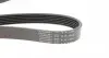 1249SK6 Ремень генератора Ford Focus 1.8/2.0 04-12 (6PK1249) HUTCHINSON підбір по vin на Brocar