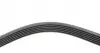 1249SK6 Ремень генератора Ford Focus 1.8/2.0 04-12 (6PK1249) HUTCHINSON підбір по vin на Brocar