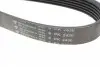 2430K6 Ремінь генератора Jeep Cherokee 2.8 CRD 08- (6PK2430) HUTCHINSON підбір по vin на Brocar