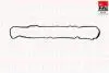 Прокладка клапанної кришки Bipper,304,Citroen Nemo,Ford Fiesta 1.4HDI/TDCi -1 RC1157S