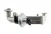 EGRBM011A Радіатор EGR NTY підбір по vin на Brocar