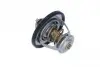 725131 Термостат Nissan Pick Up 2.5D/TD 98-05/Mitsubishi L300 2.5TD 87-04 (76°C) NRF підбір по vin на Brocar