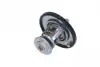 725131 Термостат Nissan Pick Up 2.5D/TD 98-05/Mitsubishi L300 2.5TD 87-04 (76°C) NRF підбір по vin на Brocar