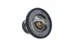 725131 Термостат Nissan Pick Up 2.5D/TD 98-05/Mitsubishi L300 2.5TD 87-04 (76°C) NRF підбір по vin на Brocar