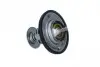 725180 Термостат Renault Koleos 2.5/Nissan X-trail 2.0/2.5 01- (82°) NRF підбір по vin на Brocar