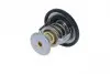 725199 Термостат Audi A1/Skoda Fabia/VW Golf/Passat B6/B7 1.4TSI 07- (95 °C) NRF підбір по vin на Brocar