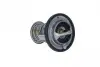 725199 Термостат Audi A1/Skoda Fabia/VW Golf/Passat B6/B7 1.4TSI 07- (95 °C) NRF підбір по vin на Brocar