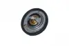 Термостат Ford Focus 1.4/1.6 04-12 (74°C) 725182