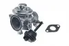 NTY Клапан EGR EGR-AU-003