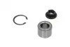 WBK4516 Подшипник ступицы (задней) Ford Fiesta 01-/Mazda 2 02-14 (29x53x37) (+ABS) KAVO підбір по vin на Brocar