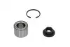 WBK4516 Подшипник ступицы (задней) Ford Fiesta 01-/Mazda 2 02-14 (29x53x37) (+ABS) KAVO підбір по vin на Brocar