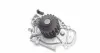 HW1804 Помпа води Honda Accord IV/V/VI 1.8/1.9i/2.0i/2.0 16V/2.2/2.2 16V/2.3 90-03 KAVO підбір по vin на Brocar
