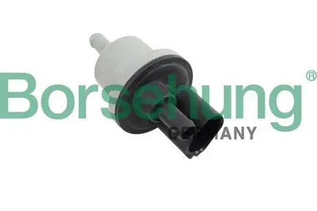 B12188 Клапан рециркуляції вихлопних газів (OE) BORSEHUNG підбір по vin на Brocar