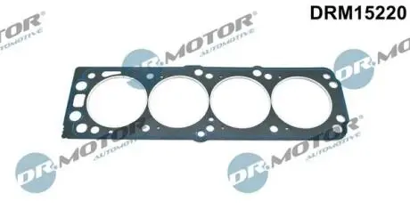 DRM15220 USZCZELKA GŁ. CHEVROLET AVEO 1,4 05- DR.MOTOR підбір по vin на Brocar