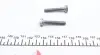 DS2010678 Насос масляный муфты дифференциала (Haldex) VW Crafter 2.0TDI 11-16 (4x4) BorgWarner підбір по vin на Brocar