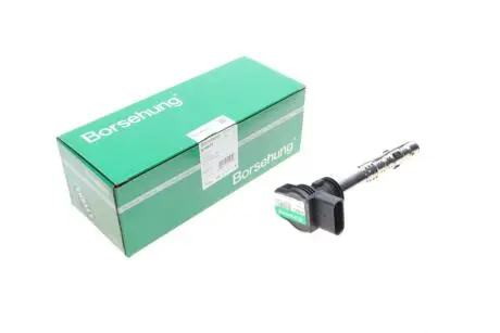 B18972 Котушка запалювання Audi A3/A4/A5/A6/Q3/Q5/Skoda Octavia II/SuperB II/VW Golf/Jetta/Passat/T5/T6 04-(OE VAG) BORSEHUNG підбір по vin на Brocar