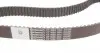 CT1028WP9 Комплект ГРМ + помпа Audi A4/Skoda Octavia/VW Passat/Golf 1.9TDI 99-10 (30x120z) CONTITECH підбір по vin на Brocar